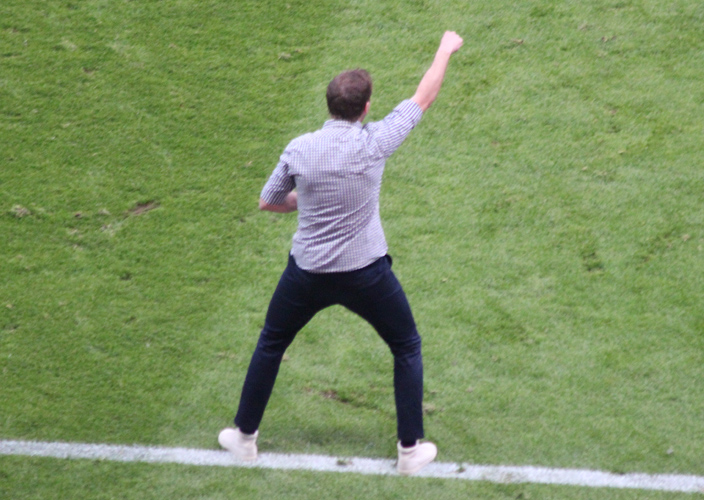 Engagierter TSG-Trainer Nagelsmann