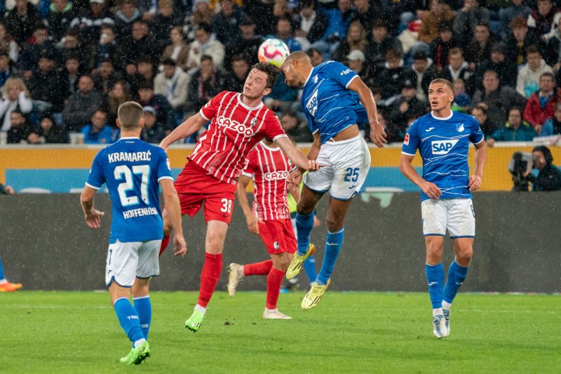 Kopfballduell zwischen Hoffenheims Kevin Akpoguma und Michael Gregoritsch